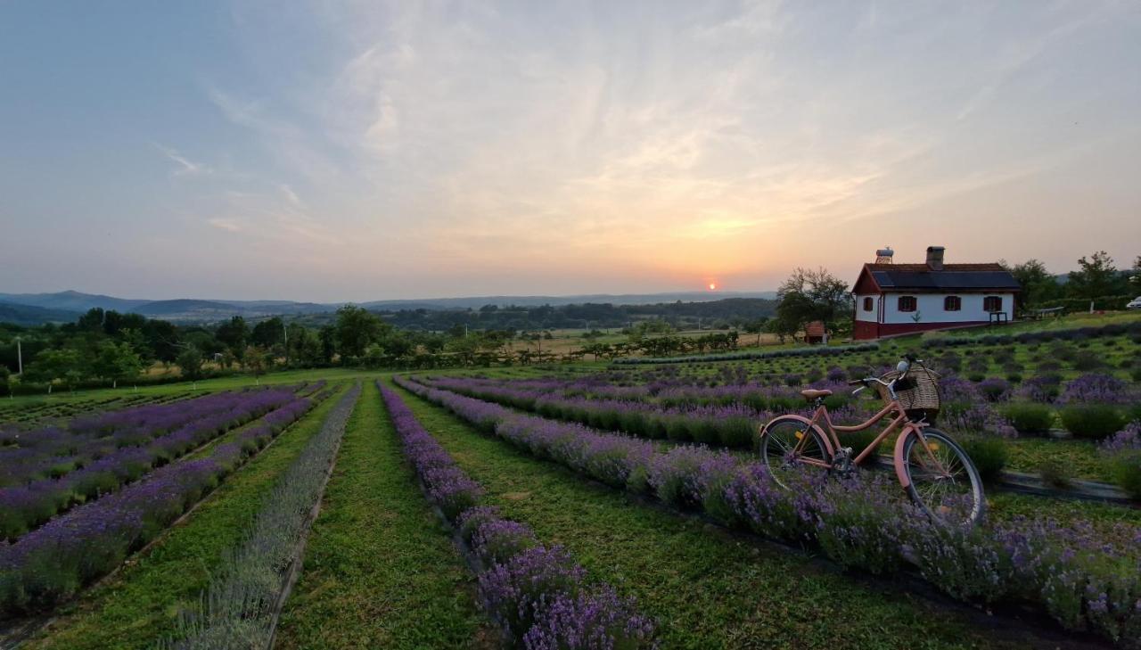 Lavanda Carasova Crasova ภายนอก รูปภาพ
