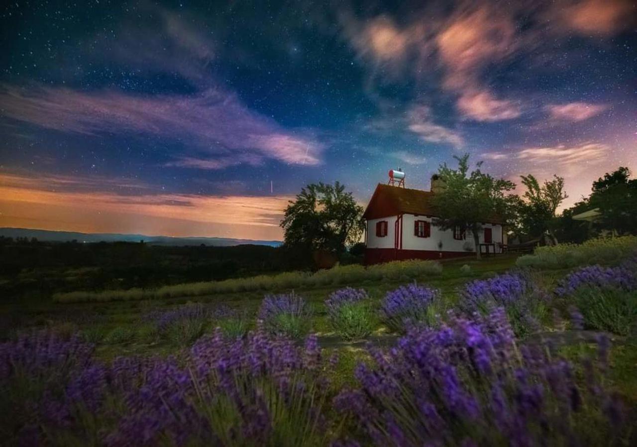 Lavanda Carasova Crasova ภายนอก รูปภาพ