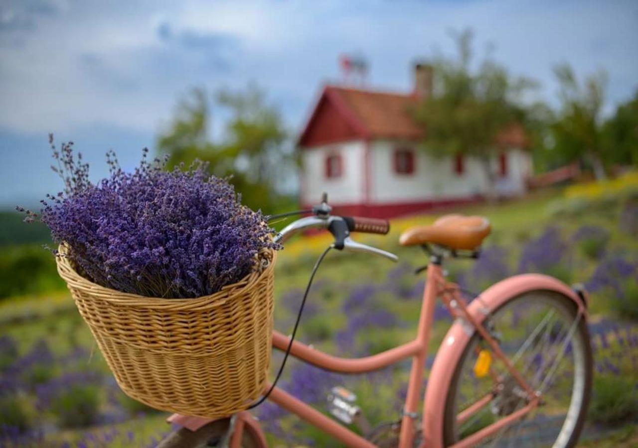 Lavanda Carasova Crasova ภายนอก รูปภาพ